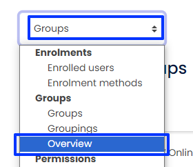 Moodle - Groups Dropdown Menu - Overview